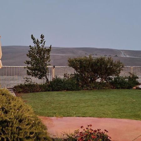Desert Call Villa Arad Exterior foto